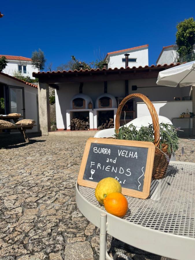 Burra Velha - Private House Villa Celorico De Basto Kültér fotó